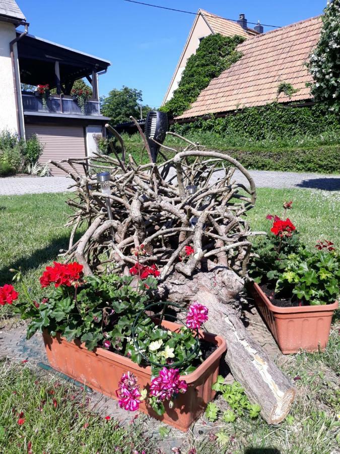 Fewo Hoyer Apartment Hinterhermsdorf Exterior foto